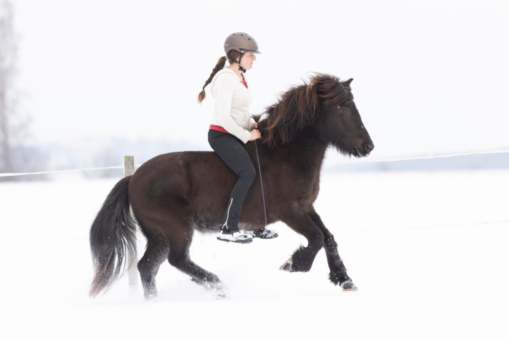 Dieses Bild hat ein leeres Alt-Attribut. Der Dateiname ist ljoma_winter2026_7.jpg